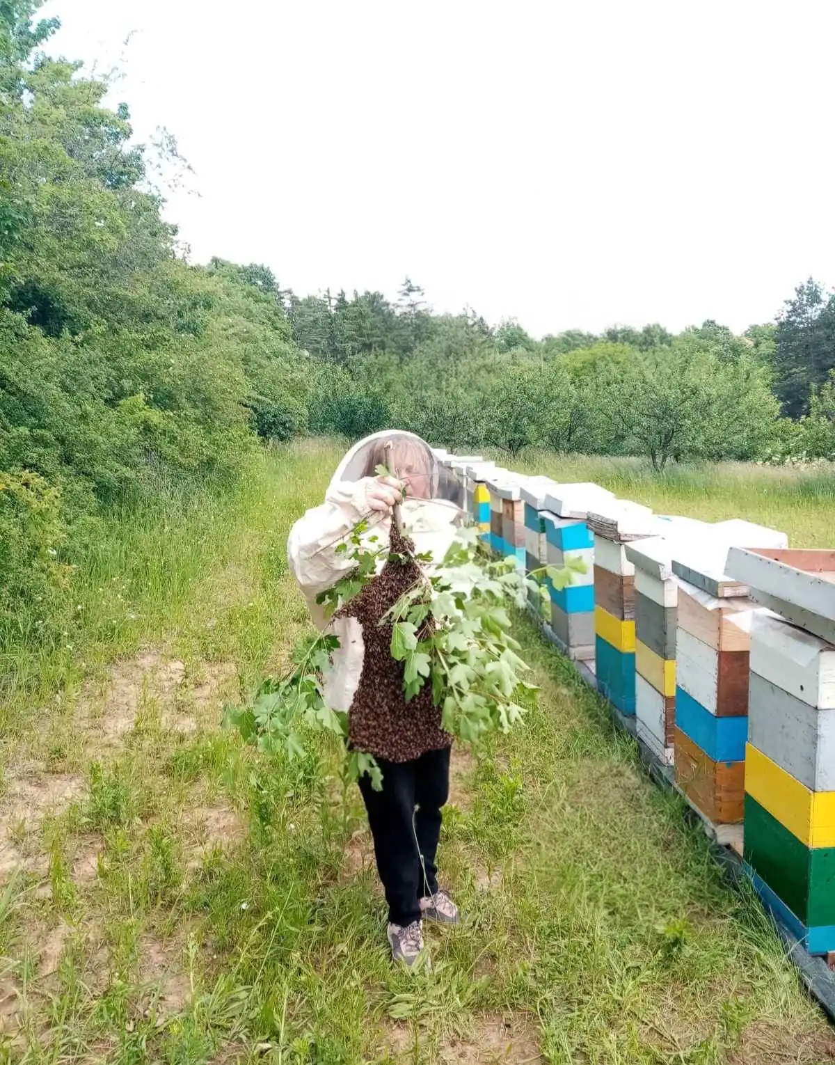 Sajam meda - Pčelarstvo Pualić izložba