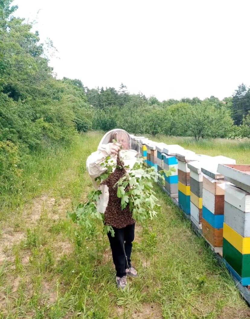 Sajam meda - Pčelarstvo Pualić izložba